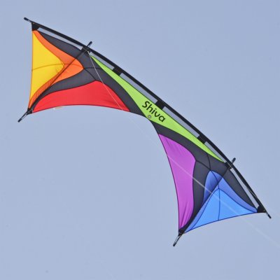 Quad Line Kite