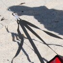 Sand Anchor