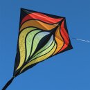 Designereddy