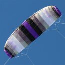 Lycos Quad 2.0 purple grey shade
