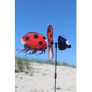 Wind Spinner Ladybug