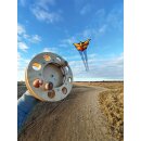 Brasingtons Butterfly