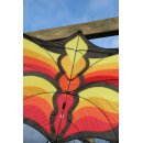 Brasingtons Butterfly