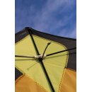 Brasingtons Butterfly