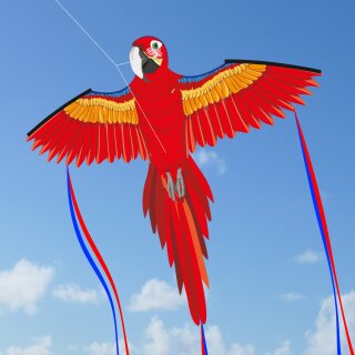Parrot Roxana