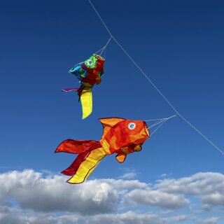 Windsock Fisch 80cm