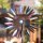 Metal Wind Spinner: Aurora Duett (202 x 59 cm)