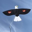Scaring Bird-Kite