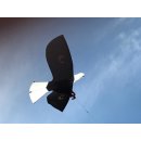 Scaring Bird-Kite